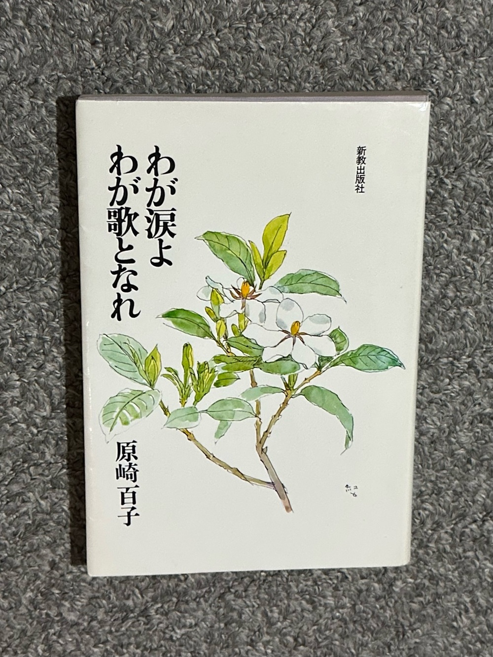 Let My Tears Become My Song JAPANESE 1981 Shinkyo Sermons Christian Church Jesus